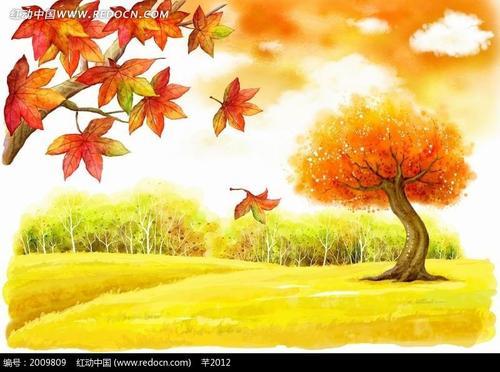 枫树大雁游玩儿童秋天的简笔画