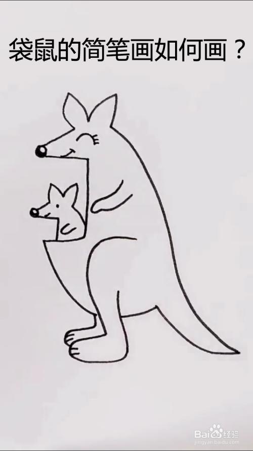 袋鼠的简笔画如何画