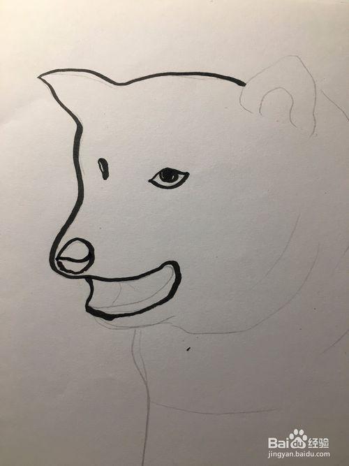 教你画可爱的柴犬狗 卡通狗头简笔画