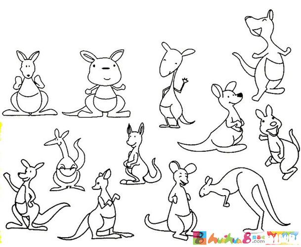 卡通袋鼠简笔画的画法步骤图