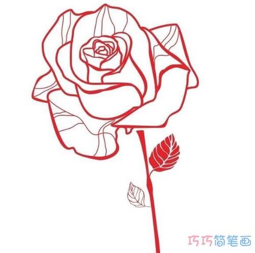 玫瑰花的简笔画