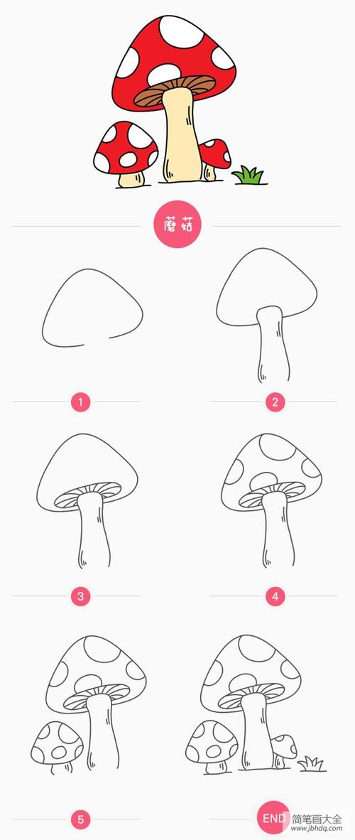 小蘑菇简笔画画法其他植物简笔画-简笔画大全