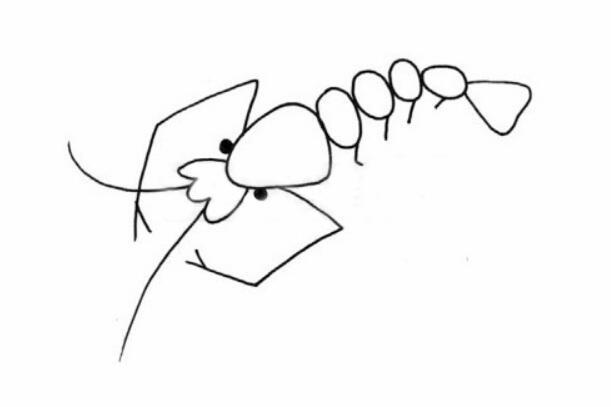 动物篇小虾的简笔画分解教程