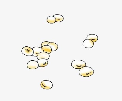 关键词  矢量黄色黄豆食物宝宝肠胀气用这样的方法调理幼儿食物简笔画