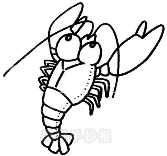 简笔画图片与知识 龙虾的资料 龙虾学名palinuridae是节肢动物门
