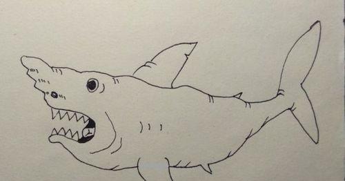 鲨鱼画法教程怎么画鲨鱼如何画鲨鱼简笔画