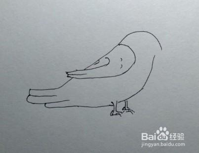 简笔画如何一步一步画一只小鸟