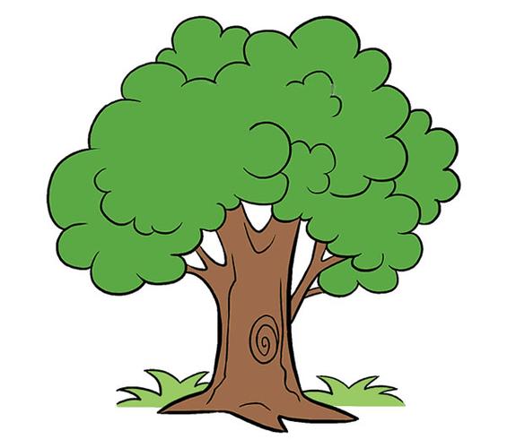 茂盛的大树画法步骤茂盛的大树简笔画图画大全 植物-第2张